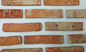 Gạch cổ tường hình chữ nhật dày 2,5 Cm để xây dựng và trang trí